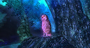Athene noctua