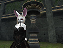 *+Crie Style+* in Black Taj