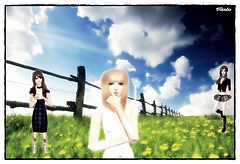 A neverending dream