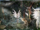 Awareness of the Fae