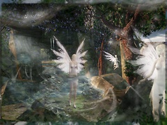 Awareness of the Fae