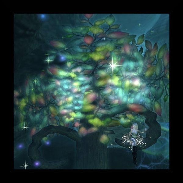 L'arbre oublié
