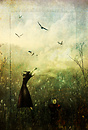 when it's time to go, I'm taking the Sky with me