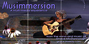 Musimmersion