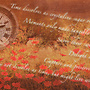 Wanderstill_004-Time & Memories