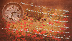 Wanderstill_004-Time & Memories