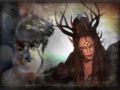 Deer Hunter