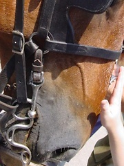 Gentle Touch