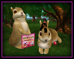 The 2009 Bunny Hop