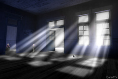 Light