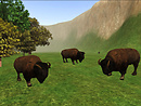 Ravencatt Cherokee Nature Park_009