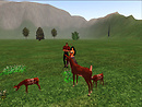 Ravencatt Cherokee Nature Park_007