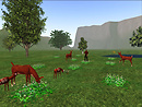 Ravencatt Cherokee Nature Park_006