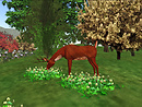 Ravencatt Cherokee Nature Park_001