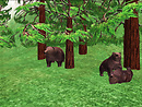 Ravencatt Cherokee Nature Park_012