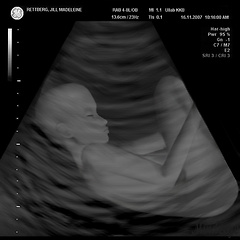 FirstBorn