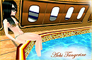 Pool in the airplane