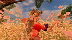 imaginal dancing_001