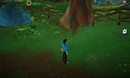 Free Realm