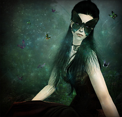 The Broken Butterfly