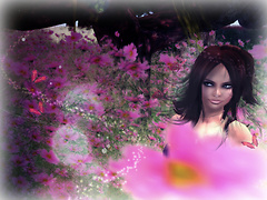 Spring!!