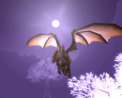 Dragon flight