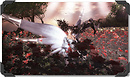 WINGS