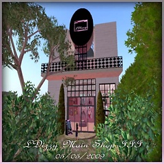 LDizzy Main Shop III, 05.05