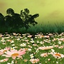 Fowers in C4u Island