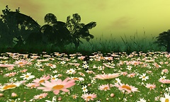 Fowers in C4u Island