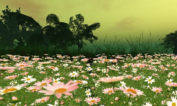Fowers in C4u Island