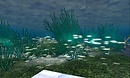 landscaping shop's seeweed