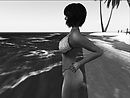 Home on Beach_002