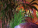 Home on Beach_011