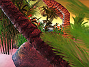 Home on Beach_012