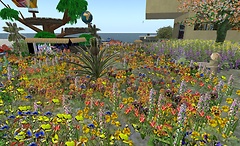 003 - garden