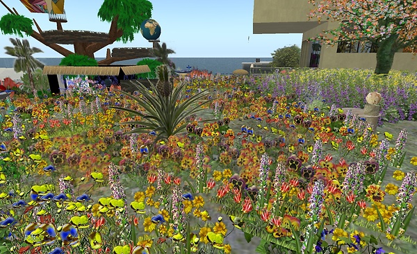 003 - garden