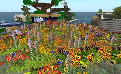003 - jardin