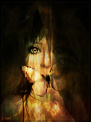 moth to her flame