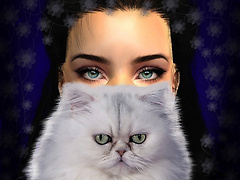 Occhi di gatto