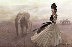 Modvia Fashion Directory IX Photoshoot 1