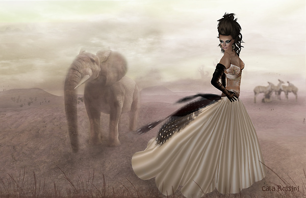 Modvia Fashion Directory IX Photoshoot 1