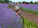 Second Life からのポストカード - teto Sosa