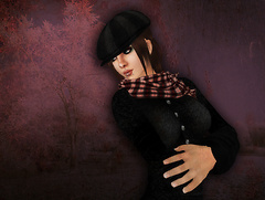 Cold Comfort