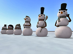 Snow Family