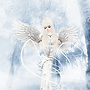 Winter Angel