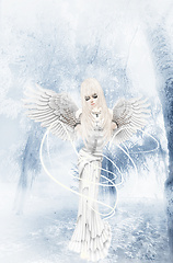 Winter Angel