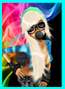 Avatar picture nade for iToxicDinox
