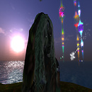 Night flowering at  Chakryn (219, 94, 24)