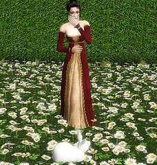 Rabbit